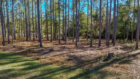 Exterior - 1981 Parrish Rd, Florala, AL 36442 photo 10 of 10