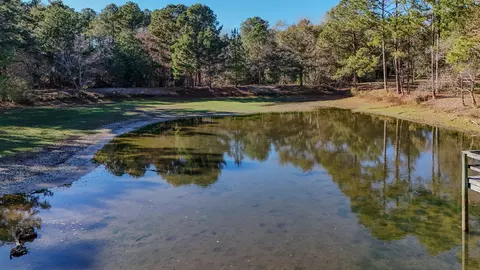 View/Area - 1981 Parrish Rd, Florala, AL 36442 photo 10 of 14