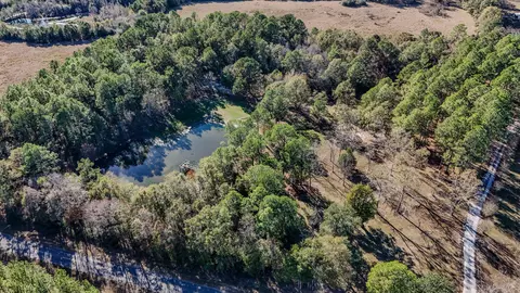 View/Area - 1981 Parrish Rd, Florala, AL 36442 photo 7 of 14