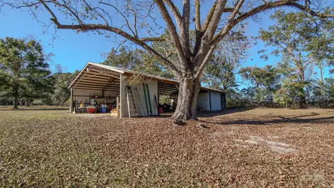 Exterior - 1981 Parrish Rd, Florala, AL 36442 photo 6 of 10