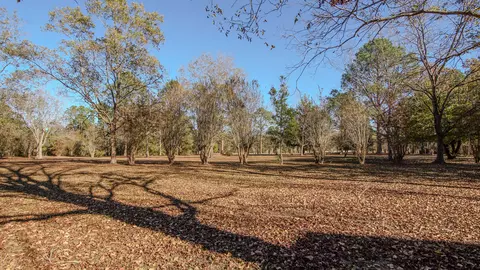 Exterior - 1981 Parrish Rd, Florala, AL 36442 photo 5 of 10