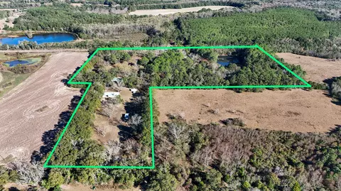 Other - 1981 Parrish Rd, Florala, AL 36442 photo 1 of 14