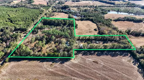 View/Area - 1981 Parrish Rd, Florala, AL 36442 photo 14 of 14