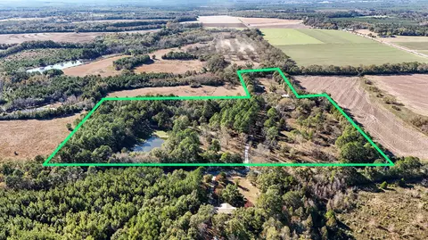 Other - 1981 Parrish Rd, Florala, AL 36442 photo 14 of 14