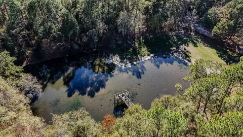 View/Area - 1981 Parrish Rd, Florala, AL 36442 photo 8 of 14