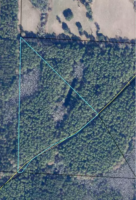 5 Canopy Oaks Blvd, Bonifay, FL 32425