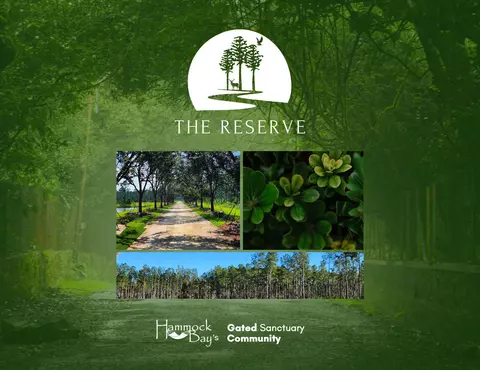 lot7 Reserve At Hammock Bay, Freeport, FL 32439