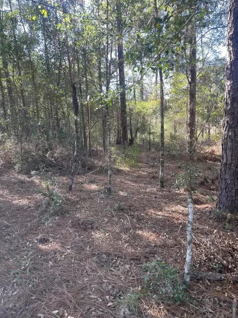 X Blue Ridge Blvd, Defuniak Springs, FL 32433