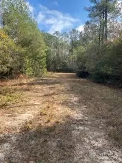 Parcel A Sunburst Drive, Crestview, FL 32539 photo 20