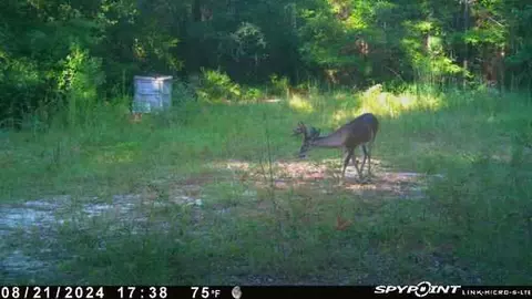 Parcel A Sunburst Drive, Crestview, FL 32539 photo 8