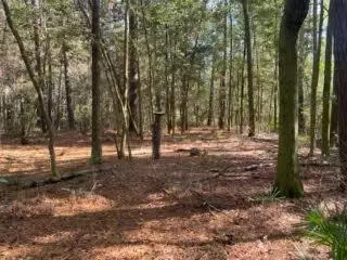 Parcel A Sunburst Drive, Crestview, FL 32539 photo 3