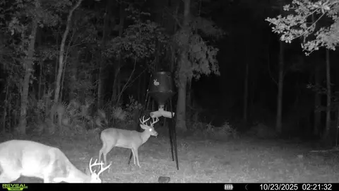 Parcel A Sunburst Drive, Crestview, FL 32539 photo 18