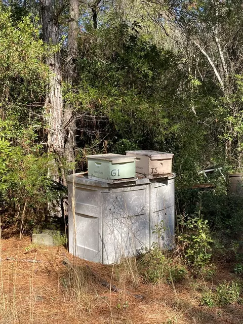 Parcel A Sunburst Drive, Crestview, FL 32539 photo 17