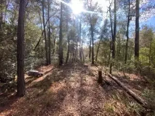 Parcel A Sunburst Drive, Crestview, FL 32539 photo 24