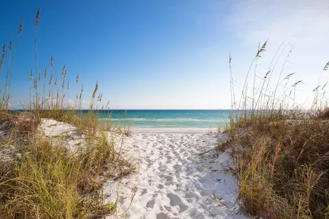 View/Area - 45 Tidal Bridge Way, Watersound, FL 32461 photo 1 of 4