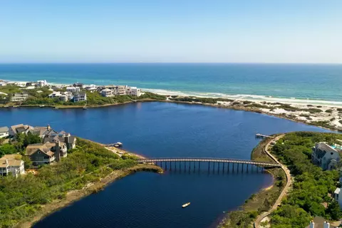 View/Area - 45 Tidal Bridge Way, Watersound, FL 32461 photo 3 of 4