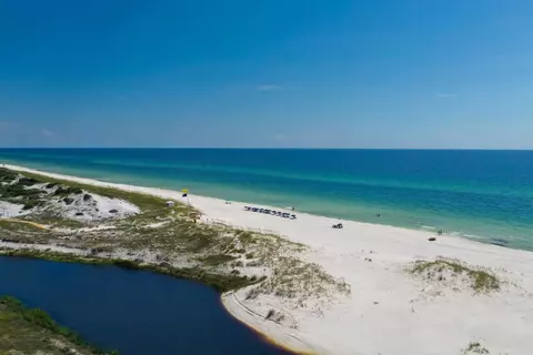 View/Area - 45 Tidal Bridge Way, Watersound, FL 32461 photo 4 of 4