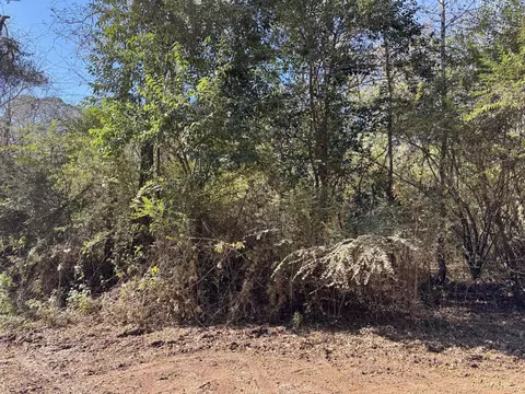 0 Gibson St, Elba, AL 36323