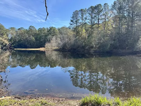 0 Gibson St, Elba, AL 36323