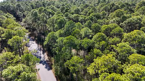 1 9 Acres Red Barn Rd, Freeport, FL 32439 photo 11