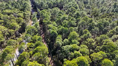 1 9 Acres Red Barn Rd, Freeport, FL 32439 photo 9