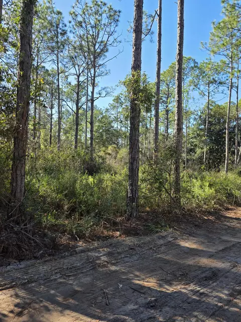 lot25 Quail Park, Santa Rosa Beach, FL 32459