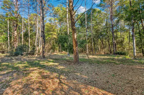 Exterior - 4297 Edge Perry Rd, Crestview, FL 32539 photo 9 of 12