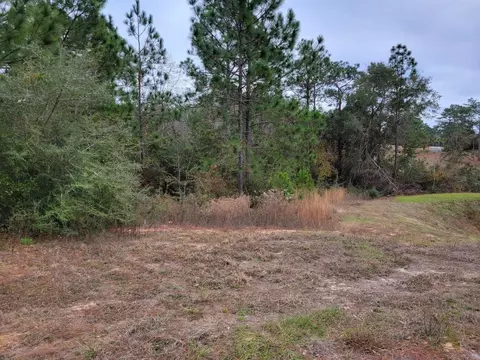 118 Tranquility Dr, Crestview, FL 32536 photo 4