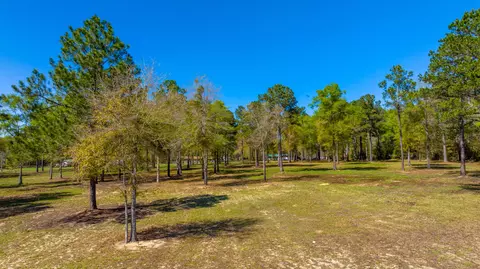 20 Acres Cannon Dr, Paxton, FL 32538