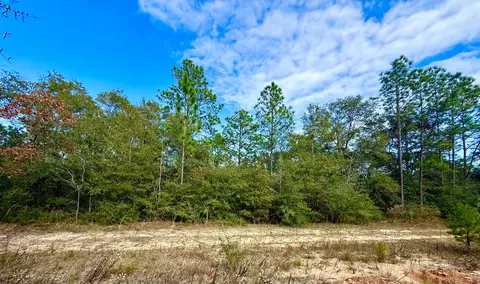 81 Puccini Dr, Defuniak Springs, FL 32433