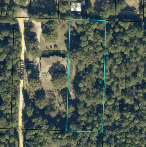 1 3 Acres Cricket Ln, Crestview, FL 32539