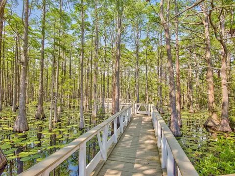 lot6 Cypress Dr, Santa Rosa Beach, FL 32459