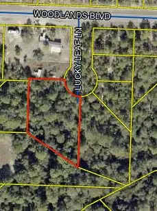 tbd Lucky Leaf Ln, Defuniak Springs, FL 32433