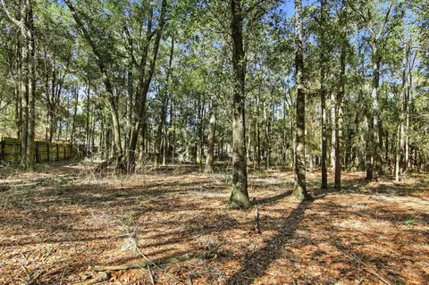 6108 Old River Rd, Baker, FL 32531 photo 34