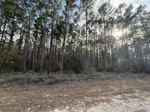 tbd Badger Dr, Crestview, FL 32539 photo 8