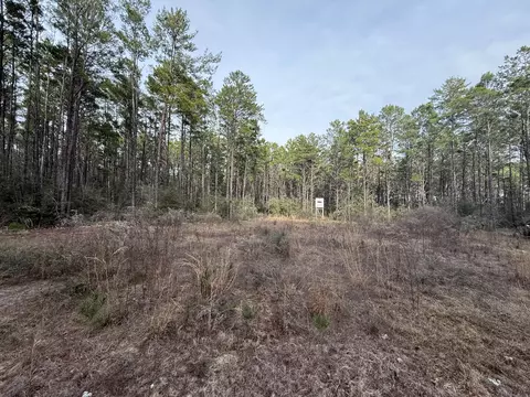 tbd Badger Dr, Crestview, FL 32539 photo 10