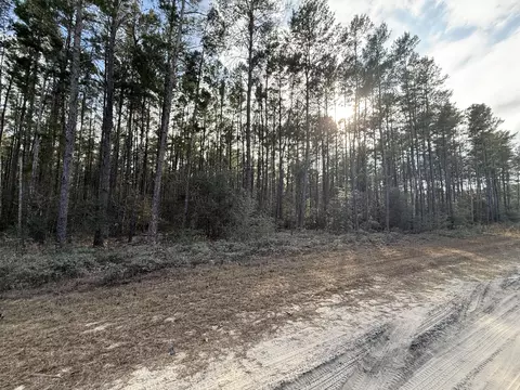 tbd Badger Dr, Crestview, FL 32539 photo 7