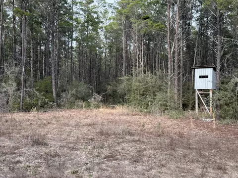tbd Badger Dr, Crestview, FL 32539 photo 9