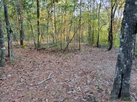 000 Hardwood Ln, Ponce De Leon, FL 32455