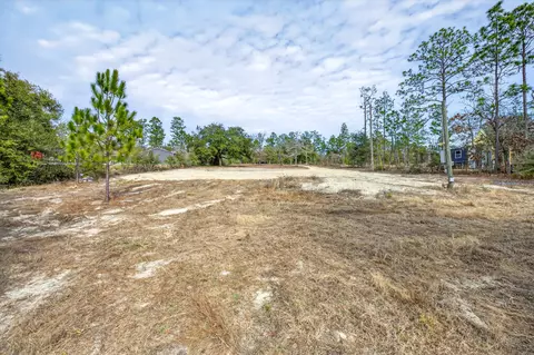 3842 Bear Head Rd, Crestview, FL 32539 photo 5