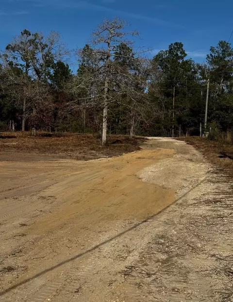 3842 Bear Head Rd, Crestview, FL 32539 photo 3