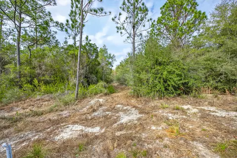 3842 Bear Head Rd, Crestview, FL 32539 photo 4
