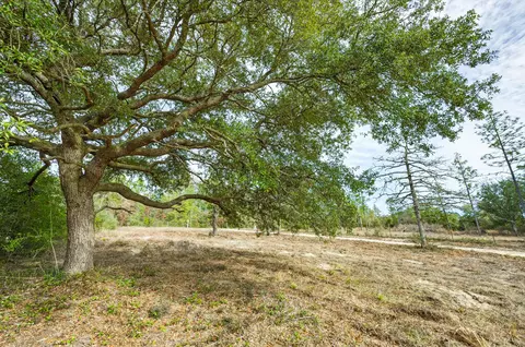 3842 Bear Head Rd, Crestview, FL 32539 photo 9