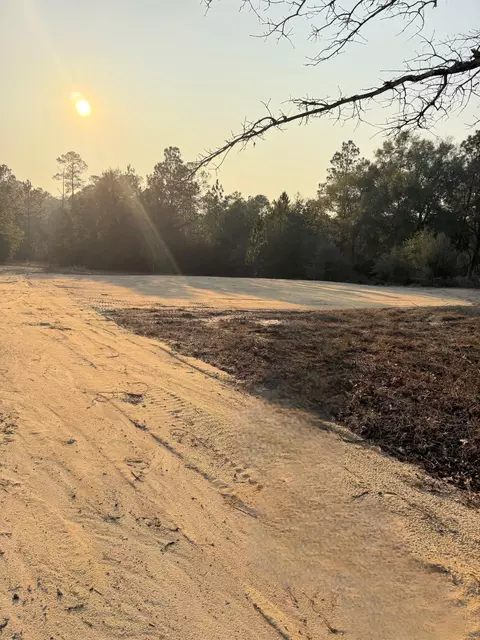 3842 Bear Head Rd, Crestview, FL 32539 photo 2