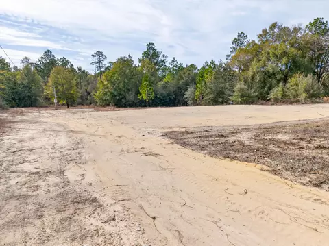 3842 Bear Head Rd, Crestview, FL 32539 photo 14