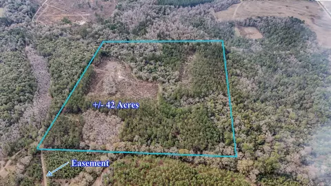 4769 Davis Rd, Florala, AL 36442