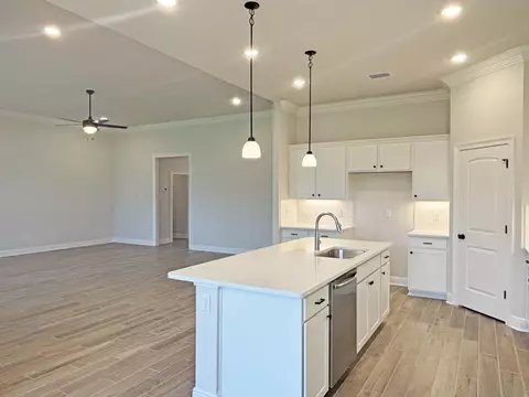 Kitchen - 251 E Tweet St, Freeport, FL 32439 photo 3 of 3