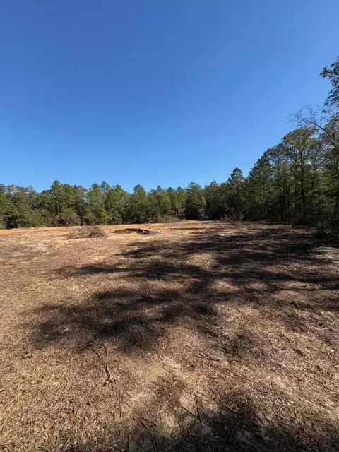 0 Wild Hare Ln, Crestview, FL 32539 photo 5