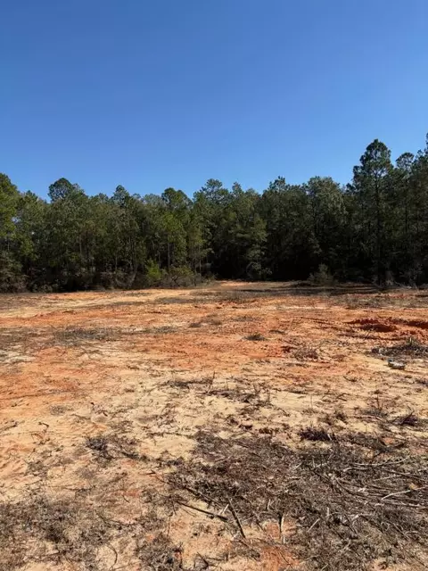 0 Wild Hare Ln, Crestview, FL 32539 photo 4