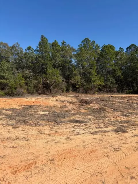 0 Wild Hare Ln, Crestview, FL 32539 photo 10